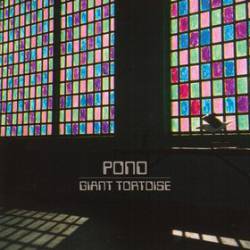 Pond : Giant Tortoise